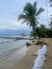 Fototapeta premium Tropical beach in Bocas del Toro, Panama, palm trees, stilt house and a wooden pier extending into calm blue water