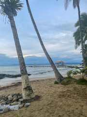 Fototapeta premium Πalm trees on a sandy beach in Bocas del Toro, Panama. Wooden pier and building on stilts, gentle ocean waves and tropical sky.