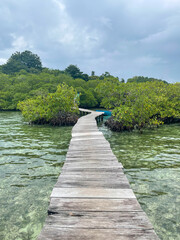 Fototapeta premium Wooden boardwalk over shallow turquoise water toward lush mangroves in Bocas del Toro, Panama, blue tropical sky.
