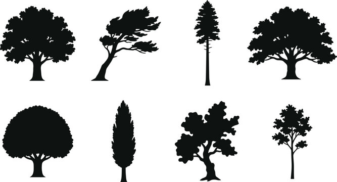 Detailed tree silhouettes vector set featuring pine cypress windswept bonsai and broadleaf forest species