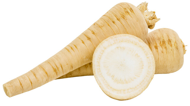Parsnip root vegetable, whole and sliced cross-section