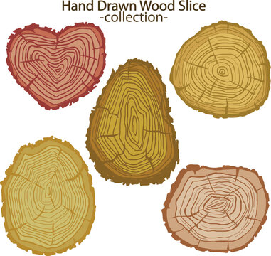 Round timber log trunk cut section isolated on white background graphics vector