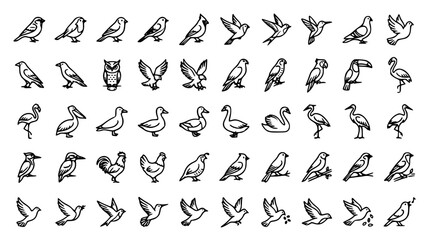 Bird line icon set featuring wildlife avian species sparrow owl hummingbird eagle flamingo swan duck toucan and flying nature symbols © MdSabbir