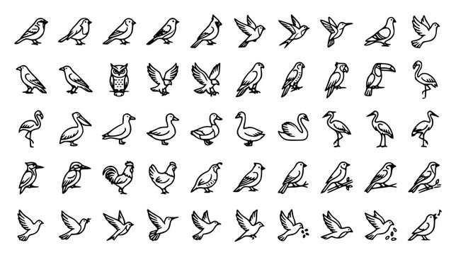 Bird line icon set featuring wildlife avian species sparrow owl hummingbird eagle flamingo swan duck toucan and flying nature symbols