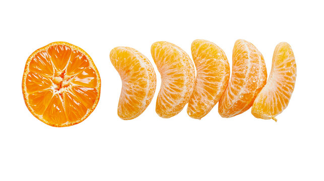 Orange slice and segments with juicy pulp and white pith