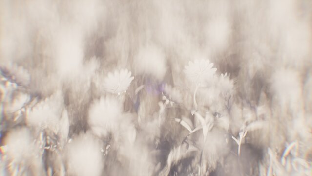 Minimalist monochrome blured flowers background in white and light gray tones 3d render cgi