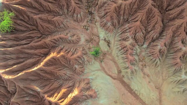 Aerial view of the arid, cracked earth and colorful soil formations of the Tatacoa Desert in Villavieja, Huila, Colombia.