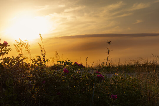 Dusk falling over the dunes. Jantar, Poland.