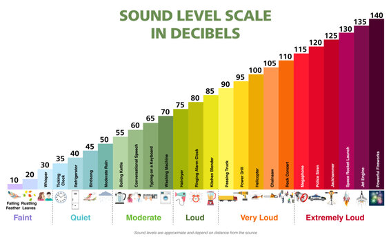 Sound level scale in decibels infographic. Educational bar chart with noise comparison from faint to extremely loud. Vector illustration