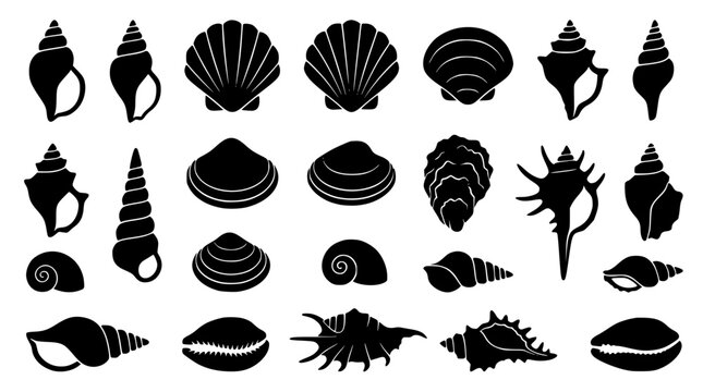 Seashell and marine life silhouettes vector set featuring diverse ocean shells clams snails oysters and nautical decorative design elements