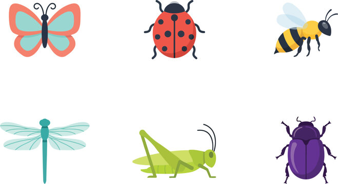 Set of colorful flat vector icons featuring various insects like butterflies ladybugs bees dragonflies grasshoppers and beetles