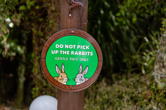 Pick Rabbits Gentle Pats Sign Notice
