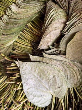 Betel leaves arranged in a pattern.this photo was taken from Bangladesh.
