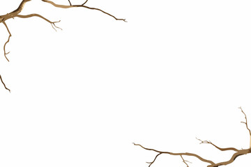 Obraz premium tree branches on white background minimal vector