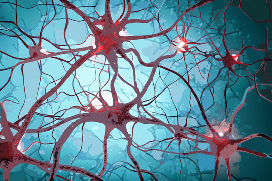 neurons with glowing synapses vector illustration brain