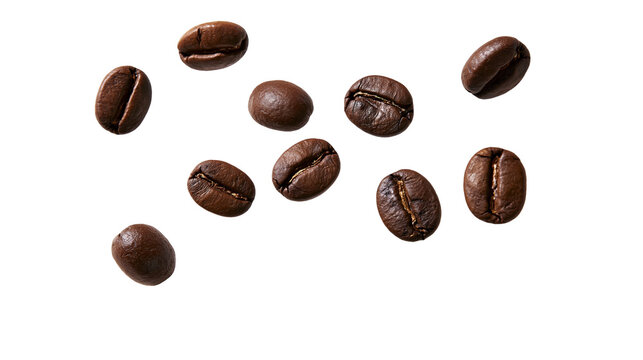 Dark Roasted Coffee Beans Scattered