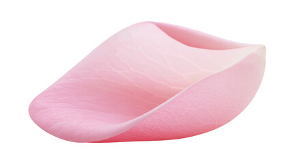 Delicate pink rose petal with fine veins © Solene