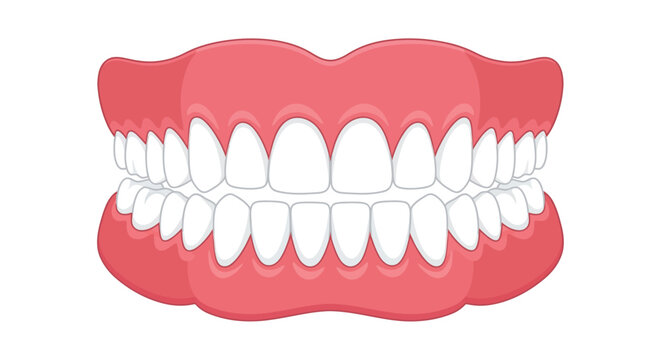 False teeth illustration a cartoon depiction of dental prosthetics with pink gums dentures artificial replacement tooth oral health dentistry care anatomy structure gum line enamel