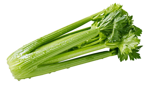 Fresh green celery stalks with water droplets and leaves