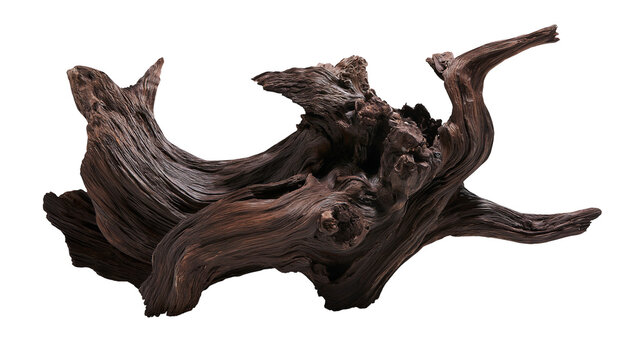 Gnarly dark brown weathered driftwood sculpture with intricate texture