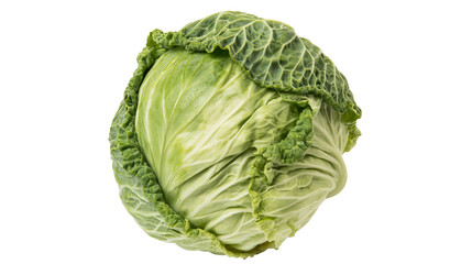 Fototapeta premium Fresh green cabbage head with ruffled outer leaves