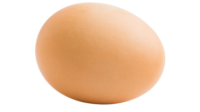 Brown chicken egg with smooth shell texture