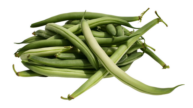 Heap of fresh green string beans