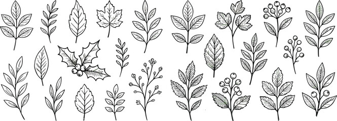 Hand drawn botanical leaves and berry branches collection © moshaharul