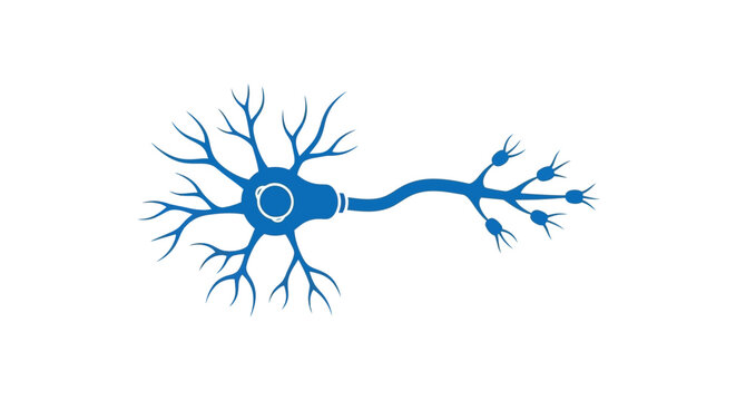 A blue illustration of a single nerve cell on a white background