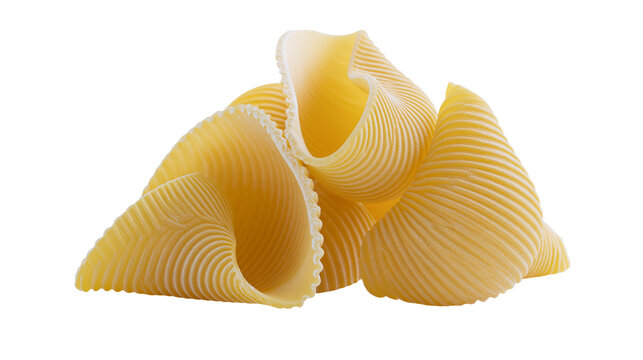 Conchiglioni pasta shells with ribbed texture