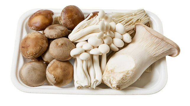 Assorted fresh mushrooms including shiitake enoki shimeji, and king oyster