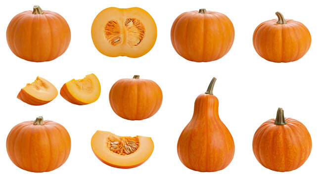 Collection of orange pumpkins and slices, whole and cut gourds