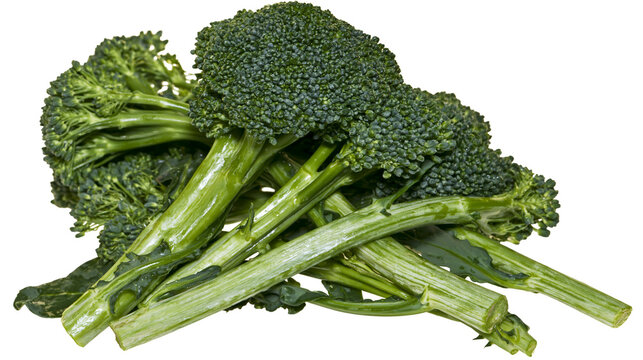 Fresh green broccoli florets and thick stems