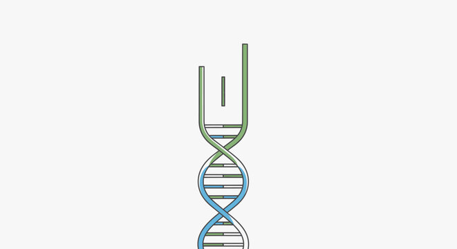 A digital illustration showing a double helix structure being separated by an enzyme