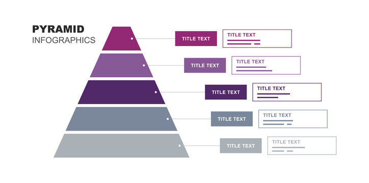 Five level monochromatic purple and grey pyramid infographic chart diagram template showing classification hierarchy with side descriptive layout blocks