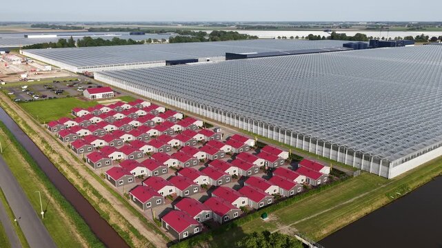 Aerial view of dutch greenhouses and residential area