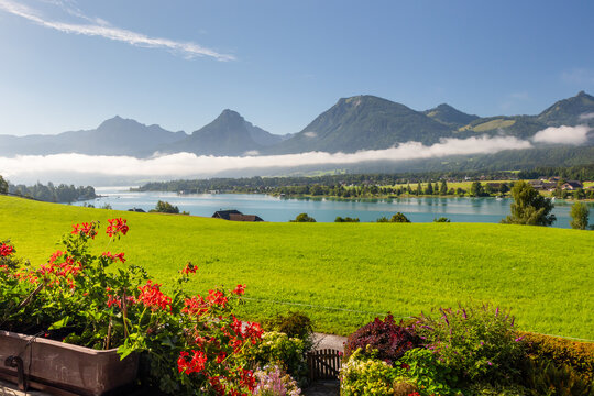 Summer morning at Lake Wolfgangsee with flowers, Alps, Austria