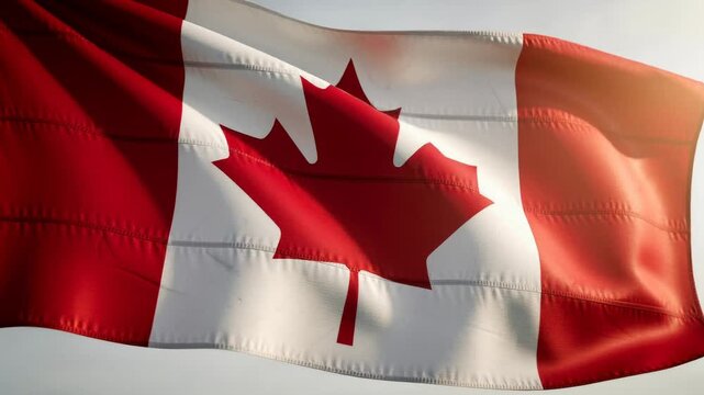 Close up of the Canadian flag waving gracefully in the wind under soft sunlight