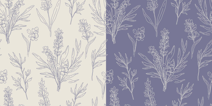 Elegant background with a seamless pattern of line art lavender flowers. Vector illustration
