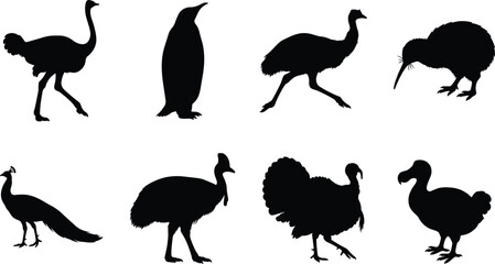 Silhouette collection of flightless birds including ostrich, penguin, emu, kiwi, peacock, cassowary, turkey, and dodo in natural poses © It's Bishaaaaaal