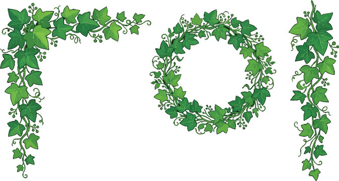 Green ivy foliage decorative elements including corner frame wreath and hanging vine border vector illustration set