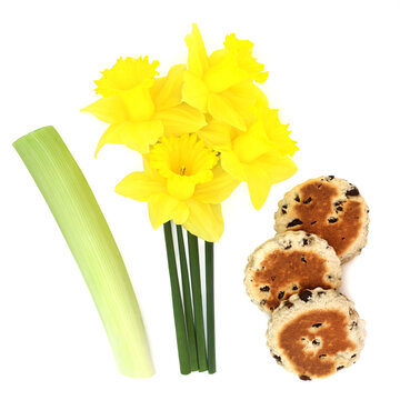 Traditional symbols of Wales leek daffodil for St Davids Day, Welsh cakes on white background. National Cyrmu food and flora. 