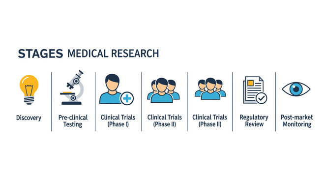 Infographic showing the various stages of medical research and drug development process.