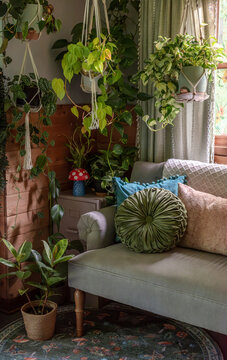 Cozy reading nook with house plants