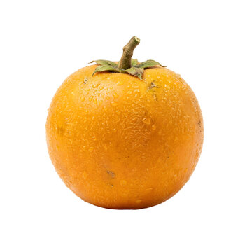 Fresh Naranjilla Fruit Isolated on White Background.