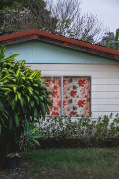 A modest weatherboard house featuring windows with bright red floral holiday curtains, framed by lush green tropical foliage.