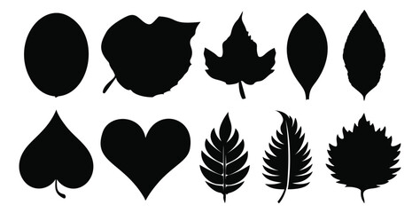 Fototapeta premium Silhouette icon set of 10 leaves featuring oval, maple, tropical and serrated botanical shapes for nature design