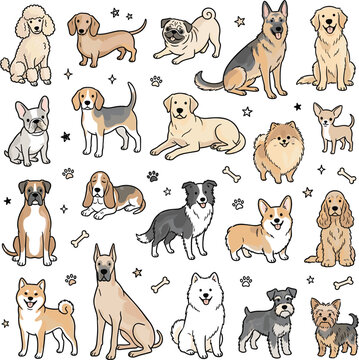 Cute Dog Breeds Vector Cartoon Set Featuring Popular Purebred Puppies and Canines with Small Star and Bone Elements for Pet Graphic Designs