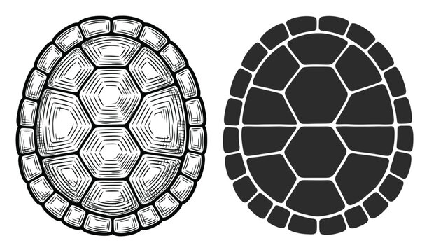 Turtle Shell Vector Illustration with Patterns and Designs