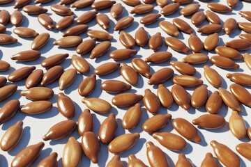Fototapeta premium Scattered brown flax seeds show their glossy shells and realistic shadows. This natural organic ingredient is viewed up close on a white surface. It makes a healthy food texture with bright tones.